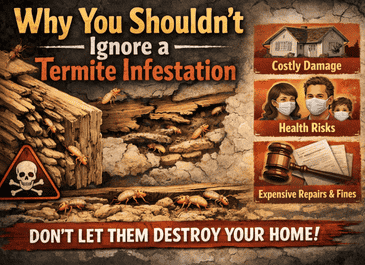 Ignore a Termite Infestation